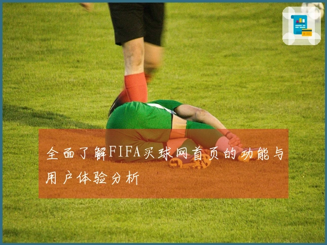 全面了解FIFA买球网首页的功能与用户体验分析