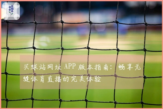 买球站网址 APP 版本指南：畅享无缝体育直播的完美体验
