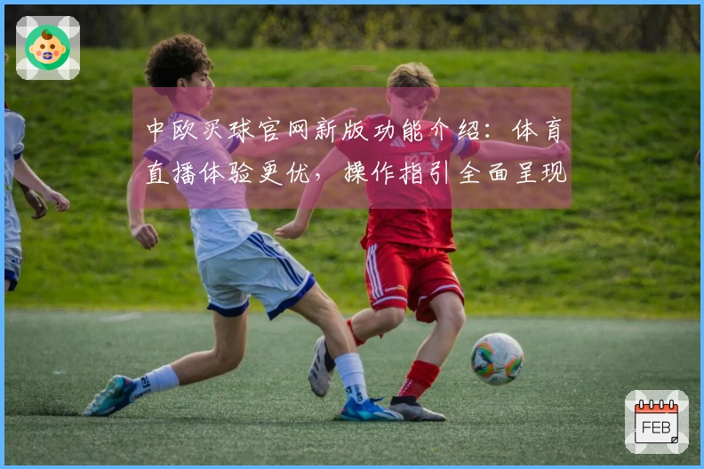 中欧买球官网新版功能介绍：体育直播体验更优，操作指引全面呈现