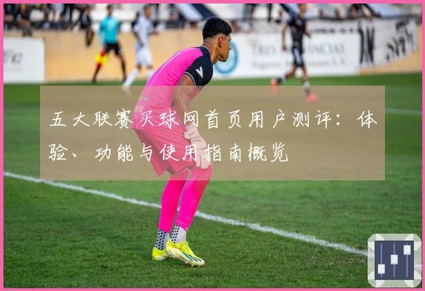 五大联赛买球网首页用户测评：体验、功能与使用指南概览